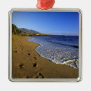 Pesquisar por polinésia ornamentos Praia
