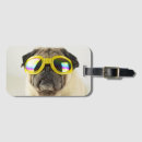 Pesquisar por etiqueta do pug acessorios Animal