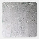 Pesquisar por rachadura adesivos Crosta