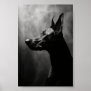 Pesquisar por pinscher pôsteres pósteres Canino