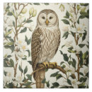 Pesquisar por coruja bonito azulejos Para ela