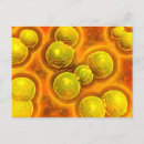 Pesquisar por doença cartoes postais Microbiologia