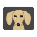 Pesquisar por revestimento imas Cão