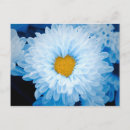 Pesquisar por mães amarelas cartoes postais Flor