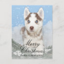 Pesquisar por christmas puppy cartoes postais Close up