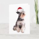 Pesquisar por schnauzer christmas cartoes postais Cachorros