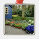Pesquisar por holanda ornamentos Cindy miller hopkins