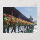 Pesquisar por postacard cartoes postais Viagem