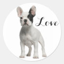 Pesquisar por buldogue francês preto branco adesivos Cachorrinho