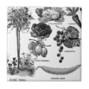 Pesquisar por vegetais frutas de azulejos Jardim
