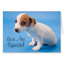 Pesquisar por terrier de russell do jaque cartoes postais Filhote de cachorro