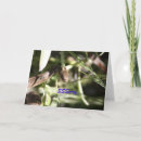 Pesquisar por piada cartoes Desculpe