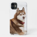 Pesquisar por de olhos azuis iphone capas Husky siberiano