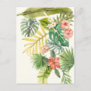Pesquisar por flores tropicais cartoes postais Florais