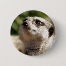 Pesquisar por meerkat botons Animal