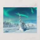 Pesquisar por borealis da aurora cartoes postais Neve