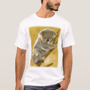 Pesquisar por koala roupas Urso de koala