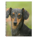 Pesquisar por filhote cachorro do dachshund de cadernos de notas Headshot