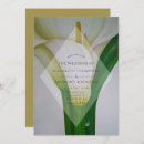 Pesquisar por calla lily wedding convites Qualquer pessoa