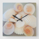 Pesquisar por prateleira relogios de parede Concha