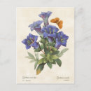 Pesquisar por redoute cartoes postais Floral