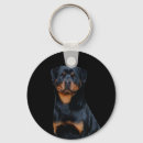 Pesquisar por rottweiler acessorios Giro