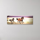 Pesquisar por égua impressão de canvas Garanhão