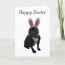 Pesquisar por french bulldog cartoes Humor
