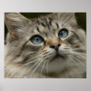 Pesquisar por boca humana pósteres Fim acima