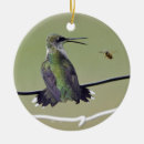 Pesquisar por colibri ceramica ornamentos Pássaro