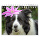 Pesquisar por originais calendarios Natureza