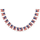 Pesquisar por seja bem bandeirinhas Qualquer pessoa