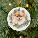 Pesquisar por pomerania ornamentos Qualquer pessoa