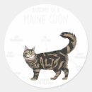 Pesquisar por maine coon adesivos Máquina