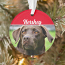 Pesquisar por para chocolate ornamentos Para pets