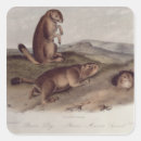 Pesquisar por museu adesivos Cães