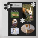 Pesquisar por scrapbooking pôsteres pósteres Álbum de recortes