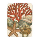 Pesquisar por recife imas Natureza