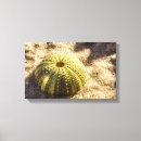 Pesquisar por ainda fotografia impressão de canvas Arte
