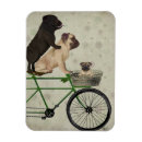 Pesquisar por pug cozinha imas Galo