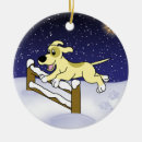 Pesquisar por agilidade ornamentos Cão