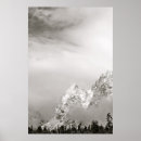 Pesquisar por paisagens preto e branco pôsteres pósteres Inverno