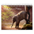 Pesquisar por elefante calendarios Africano