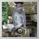 Pesquisar por bali fotografia Estátua