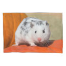 Pesquisar por hamster branco casa presentes Bonito
