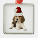 Pesquisar por originais ornamentos Qualquer pessoa