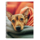 Pesquisar por pinscher papelaria escritorio Animal