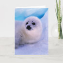 Pesquisar por harpa cartoes Animais selvagens