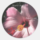 Pesquisar por flores tropicais cor rosa adesivos Hibisco