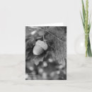 Pesquisar por carvalho cartoes Preto